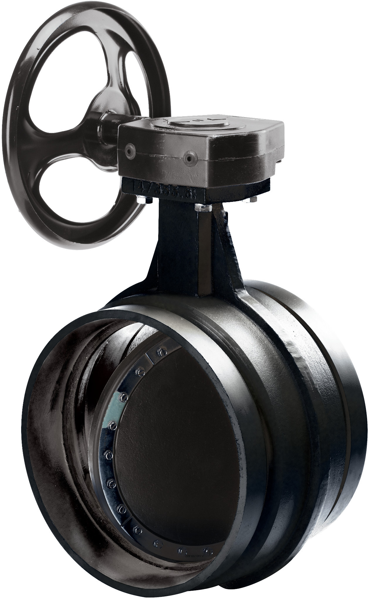 AGS™ Series W761 Vic-300™ Butterfly Valve
